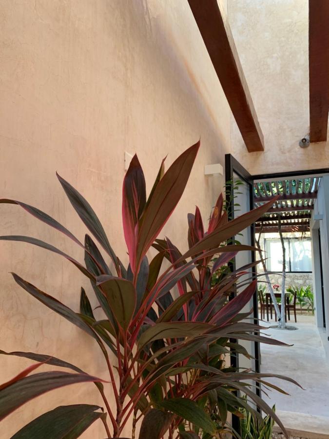 Pina Coloradas Ecolodge Yuluc Экстерьер фото